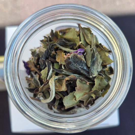 Champagne White Tea